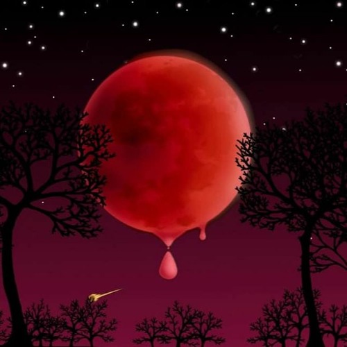 Stream BLOOD NIGHT by TroXX | Listen online for free on SoundCloud