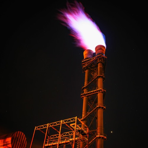 Don't Gas Africa  und der europäische Energiehunger im Senegal