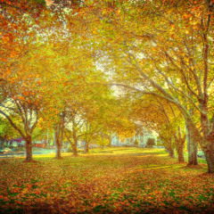 she calls me back - noah kahan (early version)