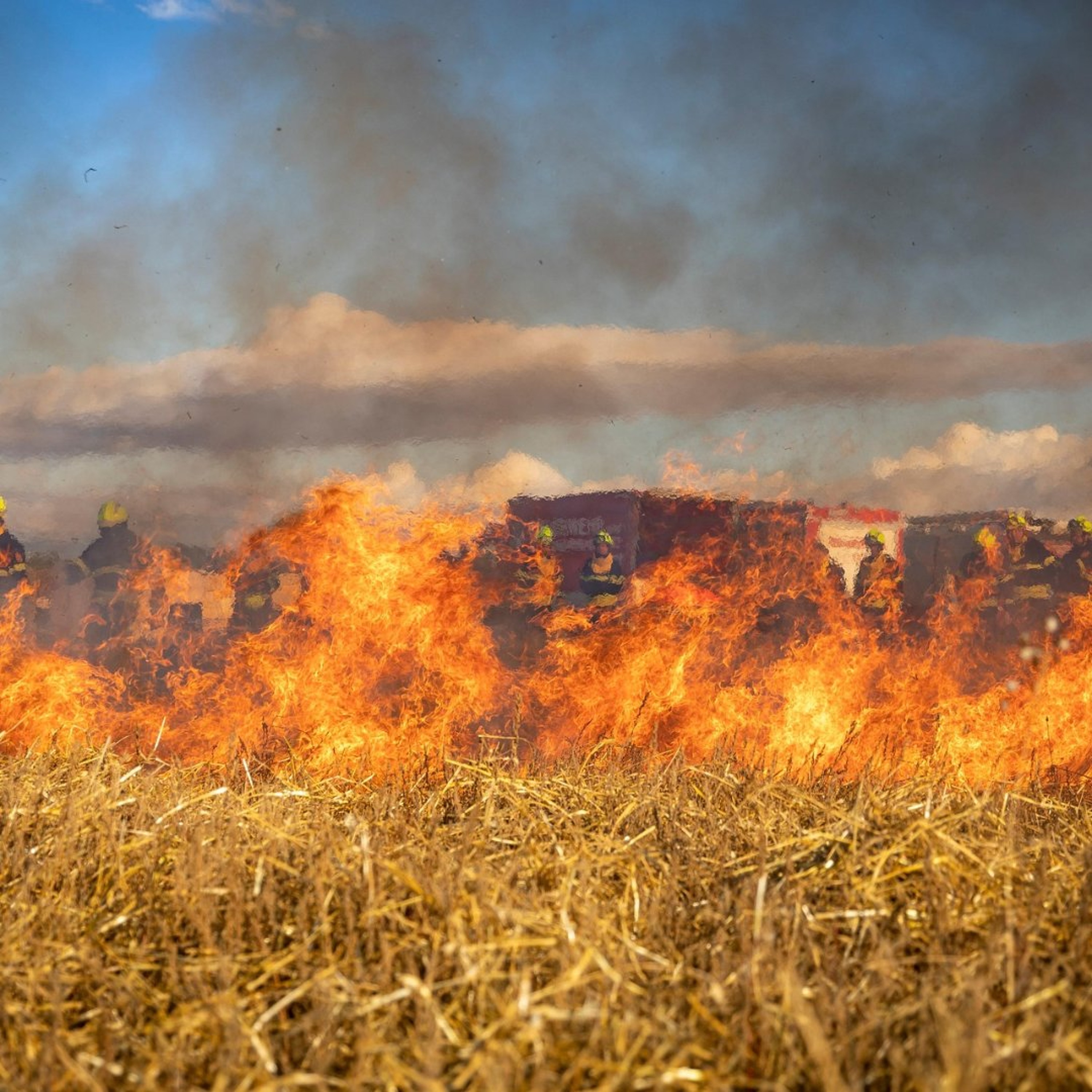 Planning Ahead Can Make All the Difference During Farm Emergencies episode artwork
