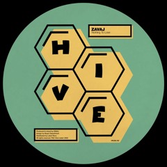 PREMIERE: ZAVAJ - Nothing To Lose [Hive Label]