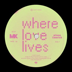 Alison Limerick - Where Love Lives (MK Remix)