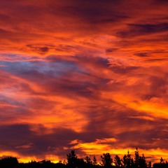 Staring at the sunset with Dwayne "The Rock" Johnson next to you as you talk about life.