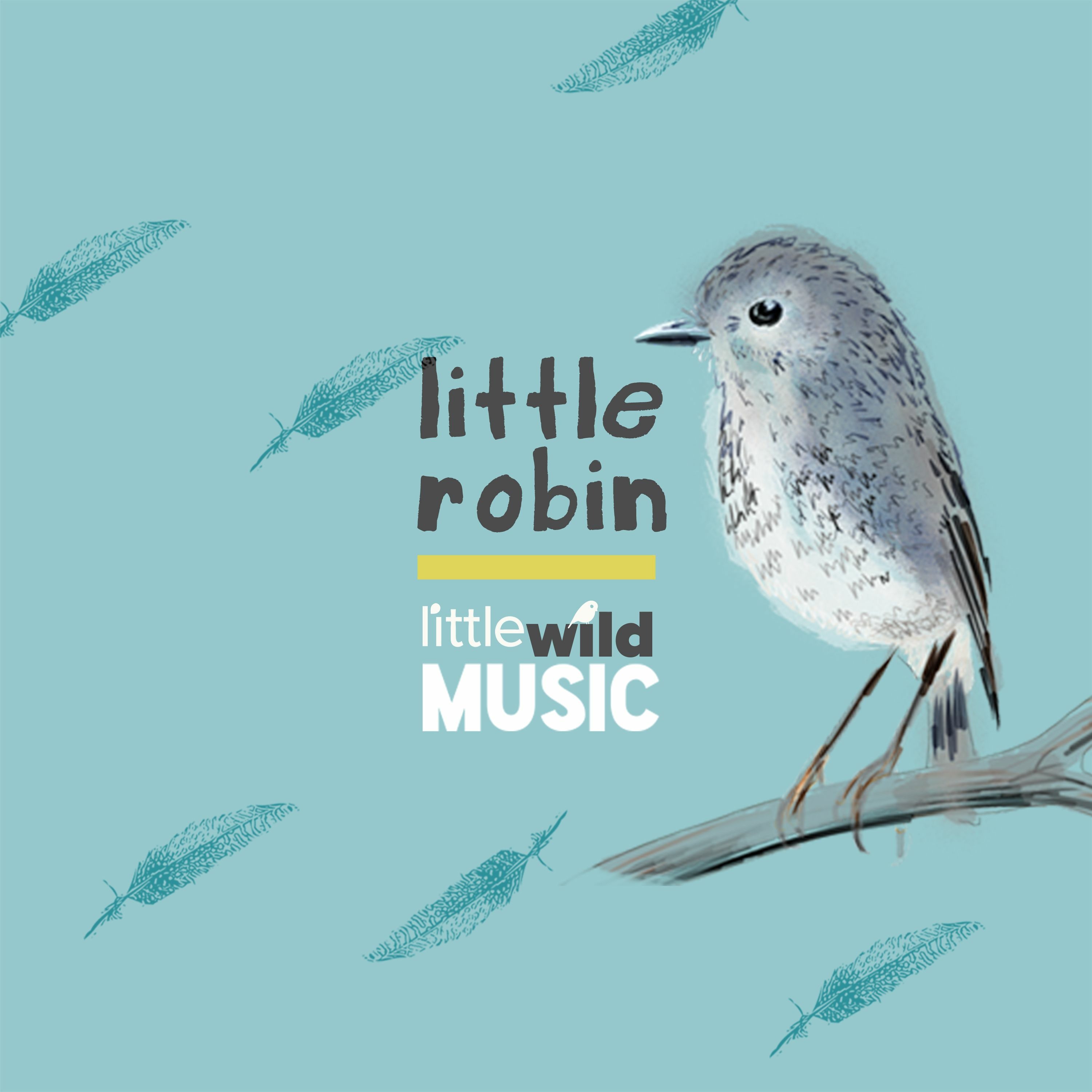 Little Wild Music