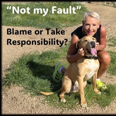 “Not My Fault”…Blame, Justify or take responsibility