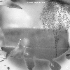 PREMIERE: Carm Routes - Etsinta