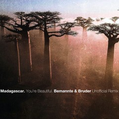 Madagascar - You're Beautiful (Bemannte & Bruder Remix) FREE DOWNLOAD