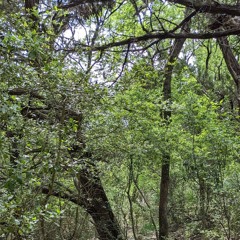 Bweagle - Deephouse046