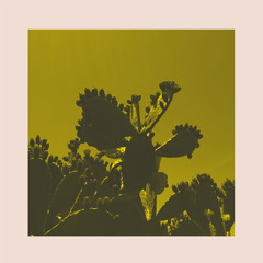 Athens Of The North official discography Disco, Soul, Funk and some other fantastic oddities