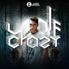 Wolf Crazy (Setmix 2k21)