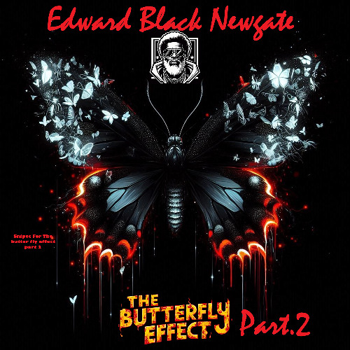 ButterflyEffect-Project_Prt-2