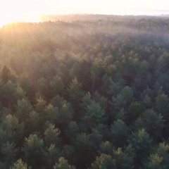 A Journey Untold  (Fantasy Theme)