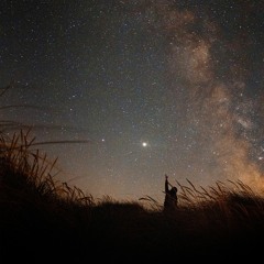 Night Dreams