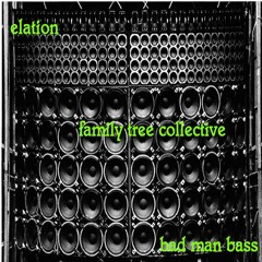 Elation - Bad Man Bass