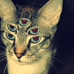 impacto [Orovendo]