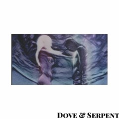 Tech House | Dove & Serpent - Funky 50ul