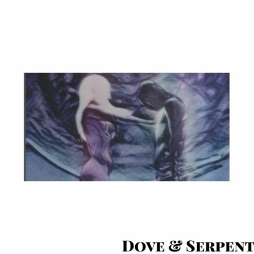 Tech House | Dove & Serpent - Funky 50ul