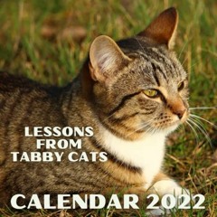 download KINDLE 📮 Lessons From Tabby Cats Calendar 2022: Mini Monthly Planner With I
