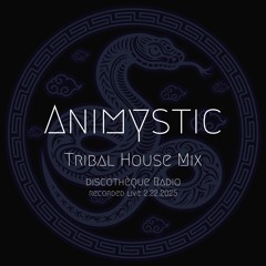 Discotheque Radio Tribal House Mix v2