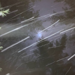 w13 v6 bass (cold moon)