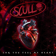 Bring Me The Horizon - Can You Feel My Heart (SCULL Remix)
