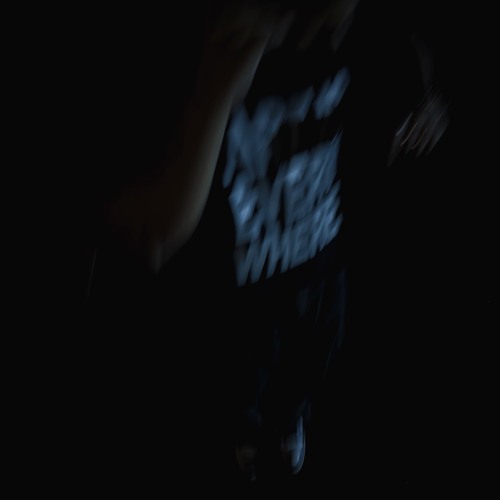 M.I.A. (jaechii x cabernett)