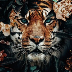 JUNGLE (GAVIN IT LARGE’S BADMAN MIX)
