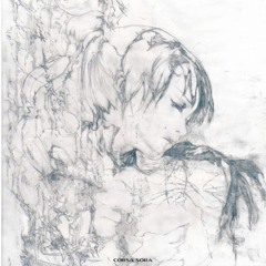 corsa sora - Adhuc Amo Te