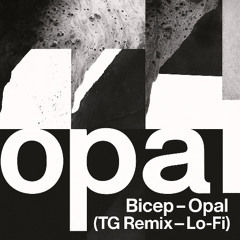 Bicep - Opal (TG Lo-Fi Edit 1.0)