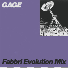 Fabbri Evolution Mix
