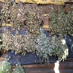 From Our Own Correspondent Russia-Ukraine tensions