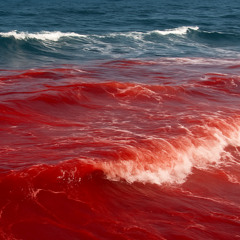 Blood In The Water
