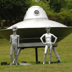 Green Magic - Edie Brickell & New Bohemians Live in the Barn