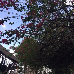 Instrumental Pop Covers