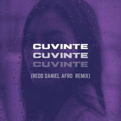 ReMan - Cuvinte ( Redd Daniel Afro Remix )