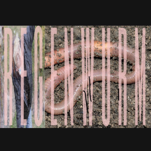 regenwurmlied🌧☔️