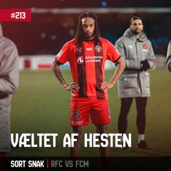 #213: Væltet af hesten