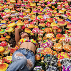 Wonderland