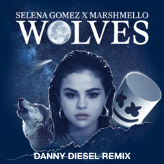 Selena Gomez & Marshmello - Wolves (Danny Diesel Remix)