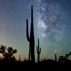 TONE x ILYJJ - Arizona