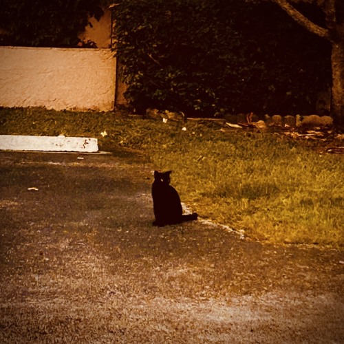 broke in terms of time </3