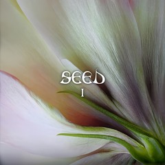 SEED 01