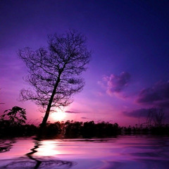 Purple Sky (Cut)