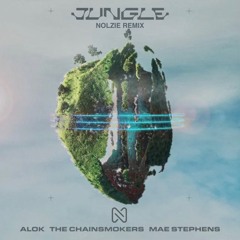 Alok, The Chainsmokers, Mae Stephens - Jungle (NOLZIE Remix)