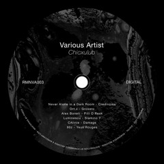 Premiere : Luminescu - Slamino 7 (RMNVA003)