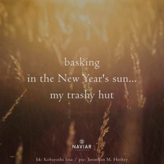 basking in the New Year's sun [naviarhaiku521]