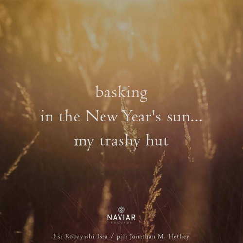 basking in the New Year's sun [naviarhaiku521]