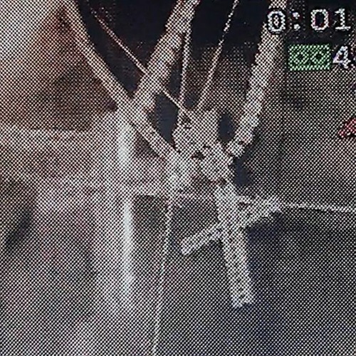 p h o n k 🎲🔮✨