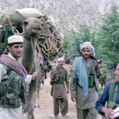 سورة الأنفال بتلاوة (أبو هاجر العراقي) Sorah Al-Anfal (Abu Hajar Al-Iraqi)