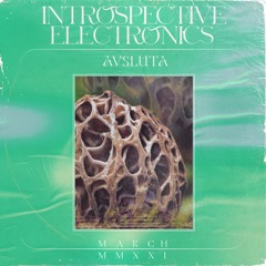 Introspective Electronics w/ Avsluta x Netil Radio | March 21